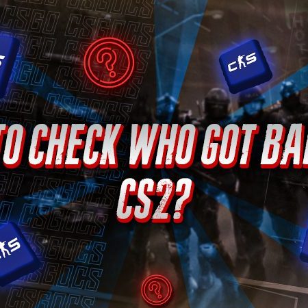 How To Check Who Got Banned in CS2?