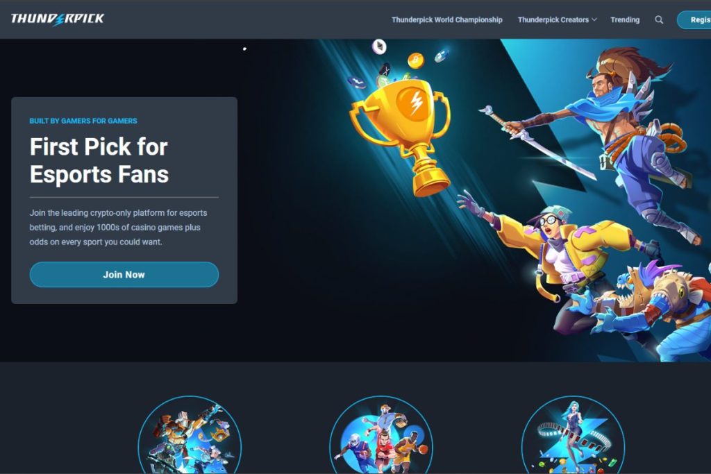 About ThunderPick