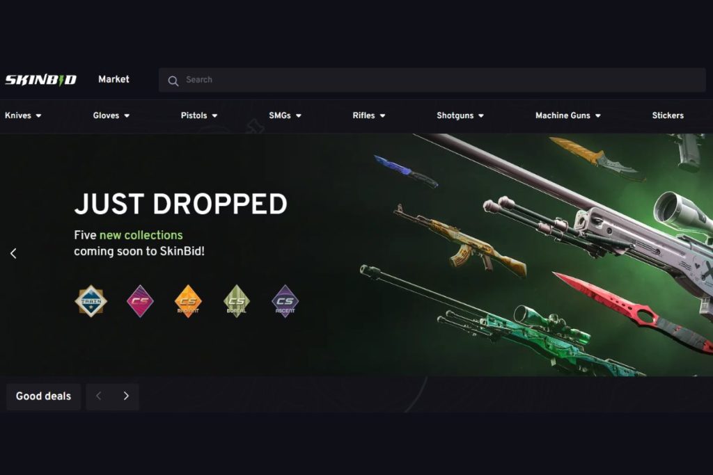 About Skinbid