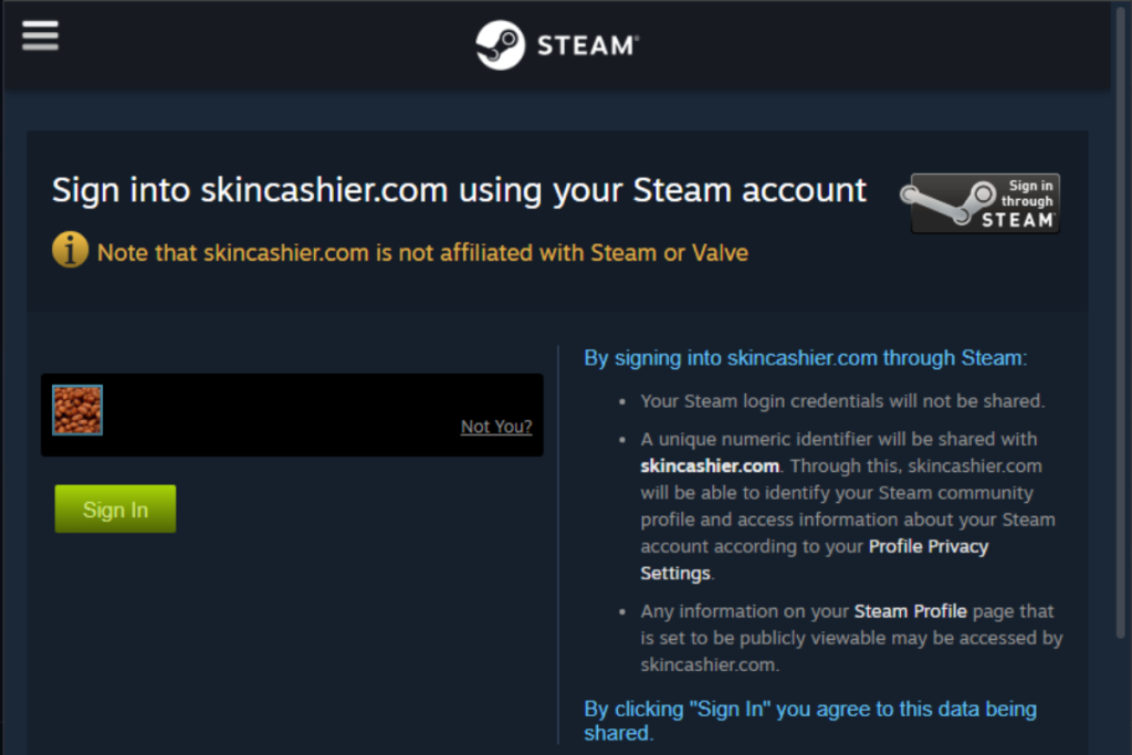 SkinCashier Security