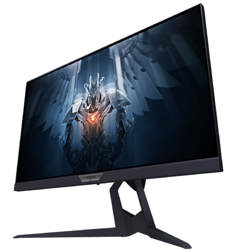 GIGABYTE AORUS FI25F