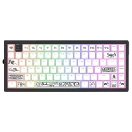 Dark Project KD83 g3ms Magnetite