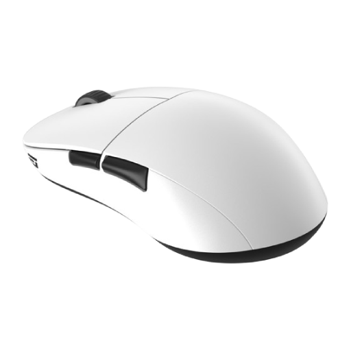 Endgame Gear XM2we White