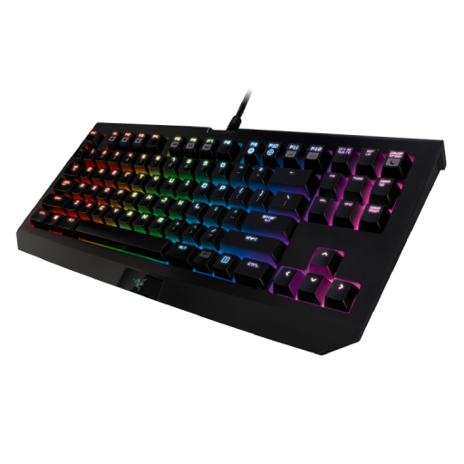 Razer Blackwidow Chroma TE V2
