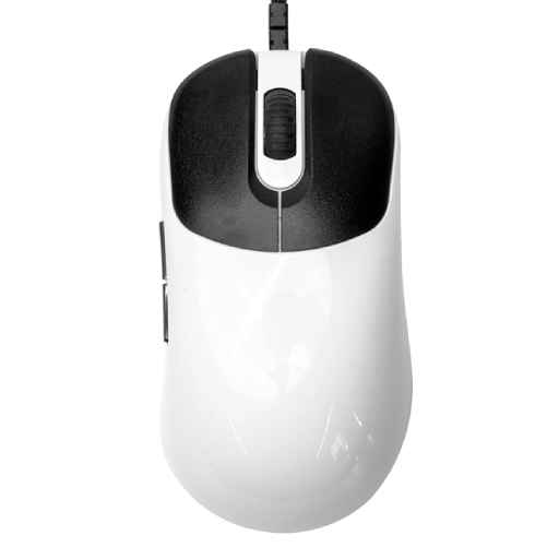 VAXEE ZYGEN NP-01S Glossy