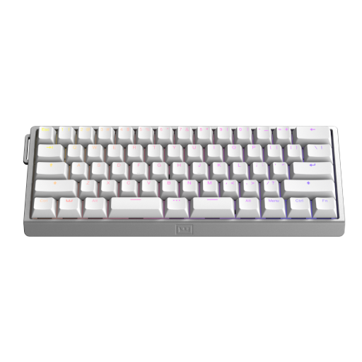 Wooting 60HE v2 Silver (Split)