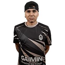 HEN1