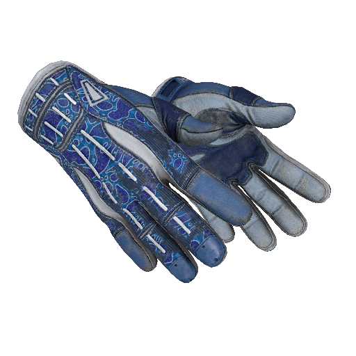 Sport Gloves | Amphibious (Well-Worn)