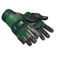 Moto Gloves | Turtle (Minimal Wear)