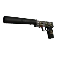 StatTrak™ USP-S | Stainless (Field-Tested)