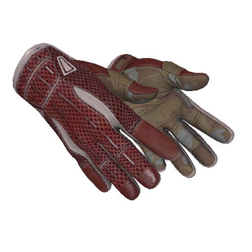 Sport Gloves | Slingshot (Minimal Wear)