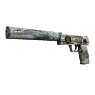 Souvenir USP-S | Road Rash (Field-Tested)