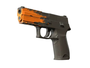 P250 | Splash (Minimal Wear)