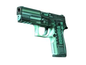 P250 | X-Ray