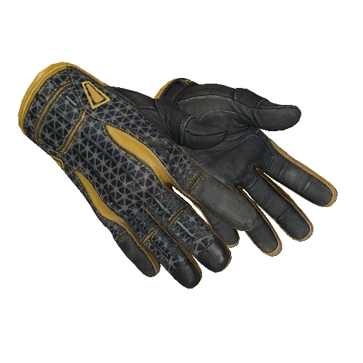 Sport Gloves | Omega (Field-Tested)