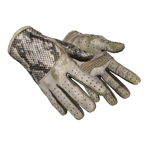 Driver Gloves | King Snake (Battle-Scarred)