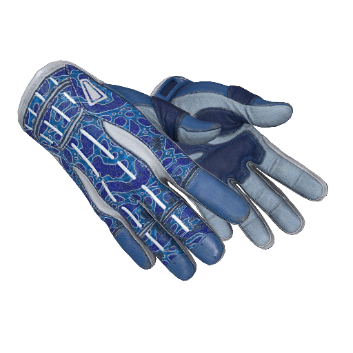 Sport Gloves | Amphibious (Factory New)