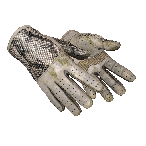Driver Gloves | King Snake (Well-Worn)