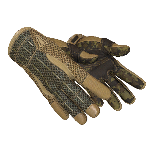 Sport Gloves | Arid (Battle-Scarred)