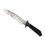 Classic Knife | Case Hardened (Well-Worn)