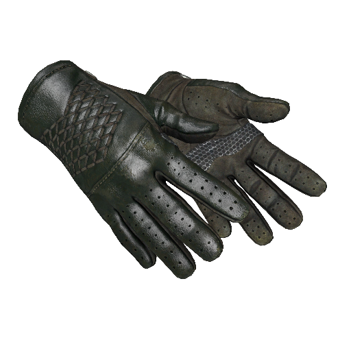 Driver Gloves | Racing Green (Minimal Wear)