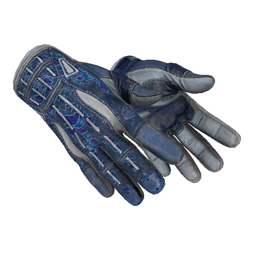 Sport Gloves | Amphibious (Battle-Scarred)
