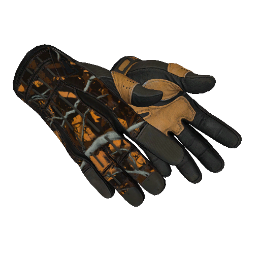 Sport Gloves | Big Game (Field-Tested)