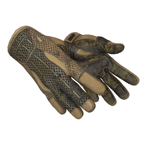 Sport Gloves | Arid (Battle-Scarred)