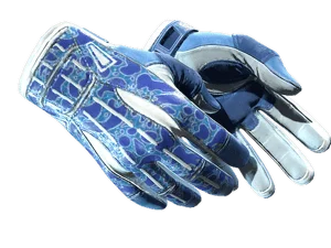 Sport Gloves | Amphibious (Minimal Wear)