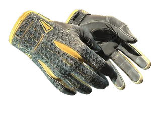 Sport Gloves | Omega (Field-Tested)