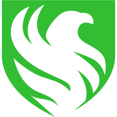 Falcons Esports
