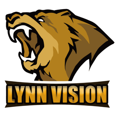 Lynn Vision